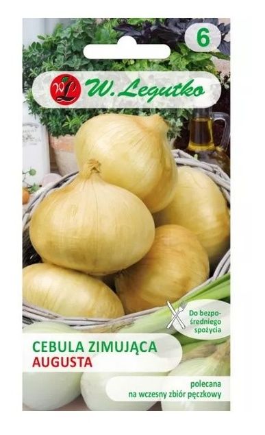 Cebula zimująca Augusta 50g Legutko