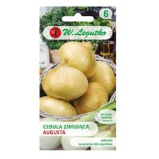 Cebula zimująca Augusta 50g Legutko
