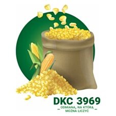 Kukurydza DKC 3969 F1 C1 50 tyś Bayer
