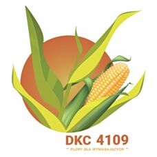 Kukurydza DKC 4109 F1 50tyś C1 Bayer