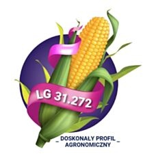 Kukurydza LG 31.272 F1 50 tyś C1 KORIT Limagrain