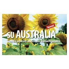Słonecznik SU Australia 150 tyś C1 Saaten Union