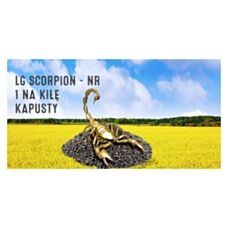 Rzepak ozimy Scorpion F1 C1 Scenic Gold + Lumiposa + Starcover Limagrain