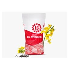 Rzepak ozimy LG Avenger F1 C1 Scenic Gold + Lumiposa + Starcover Limagrain