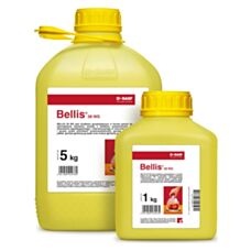 Bellis 38 WG BASF