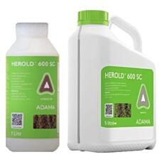 Herold 600SC Adama