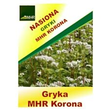 Gryka Korona C/2 MHR