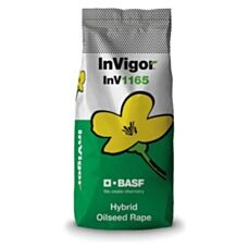 Rzepak ozimy InV1165 F1 C1 BASF
