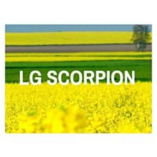 Rzepak ozimy Scorpion F1 C1 Buteo + Starcover Limagrain