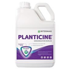Planticine Intermag