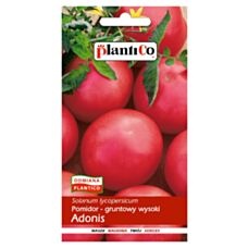 Pomidor Adonis 10g Plantico
