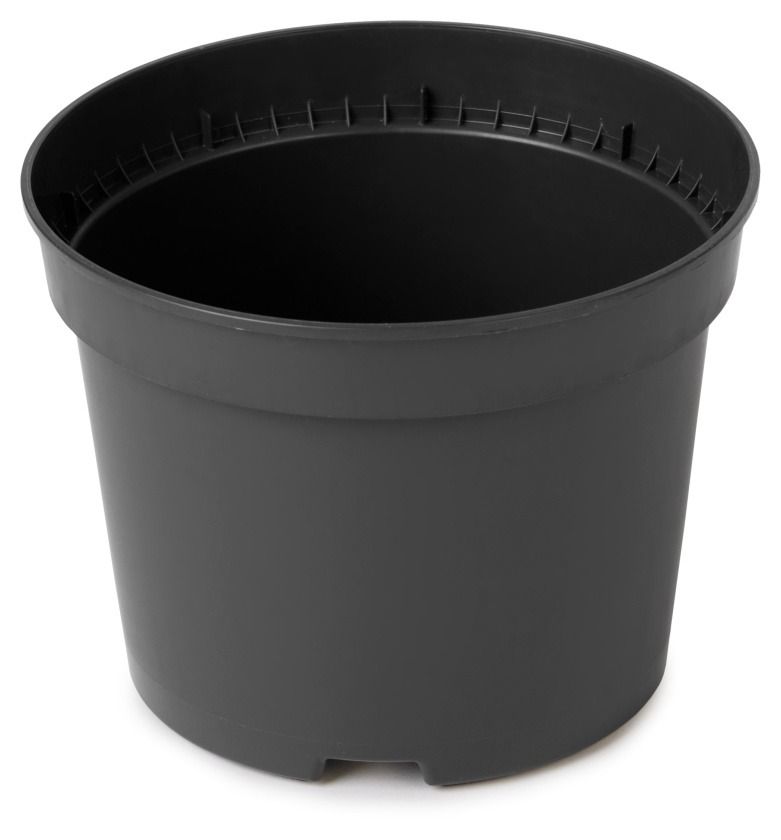 Doniczka Produkcyjna DPY czarna 100 sztuk Interplast