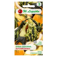 Dynia ozdobna Autumn Wings mix Legutko