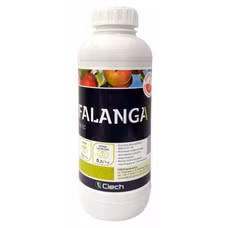 FALANGA 250 EC 1L Ciech