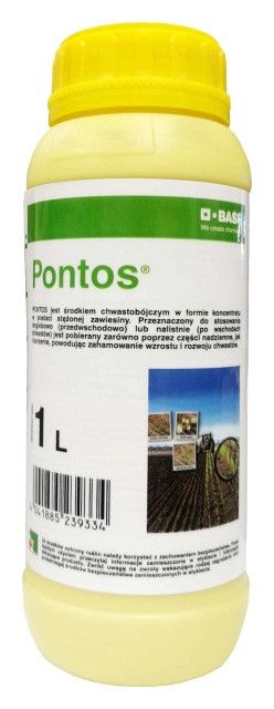Pontos Basf 