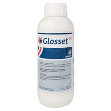Glosset 600 SC Certis Belchim