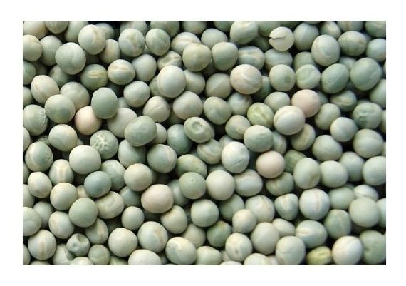 Groch zielony 25 kg Flornas