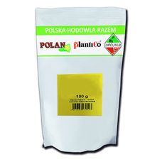 Cebula Agra zimująca 100 g Plantico