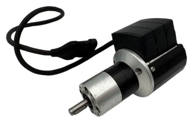 Silnik elektryczny bezszczotkowy Maschio Gaspardo F05012310R