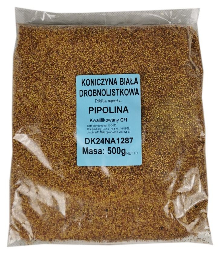Koniczyna biała mikrokoniczyna Pipolina C1 0,5kg Granum
