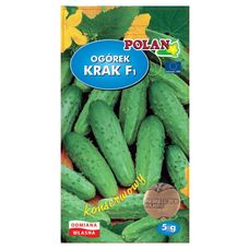 Ogórek Krak F1 100g Plantico