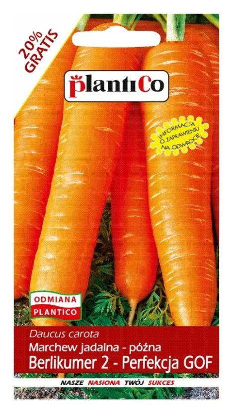 Marchew Berlikumer Perfekcja 100g PlantiCO