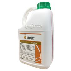 Maxim 025 FS Syngenta