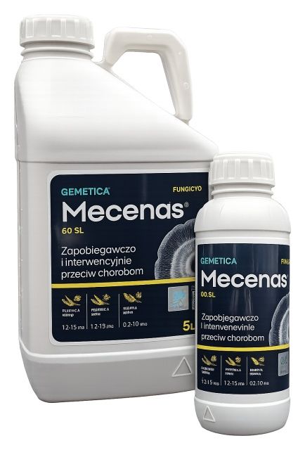 Mecenas 60SL Qemetica