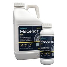 Mecenas 60SL Qemetica