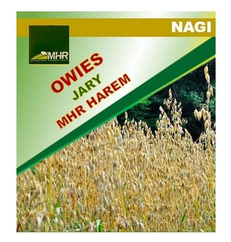 Owies jary nagi Harem C1 W 1000 kg MHR