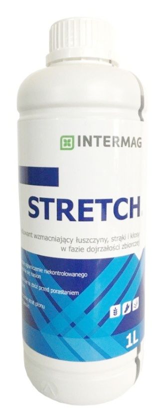 Stretch Intermag