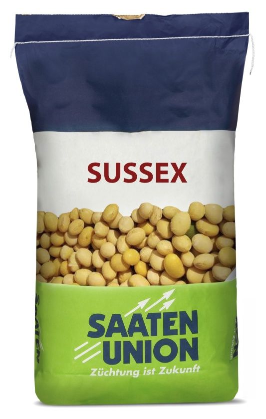 Soja Sussex C1 100 tyś Saaten Union
