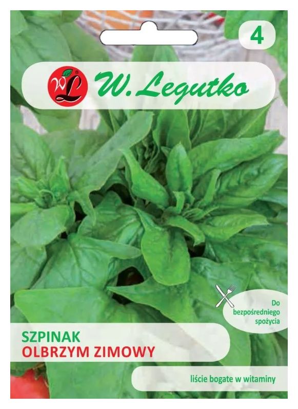 Szpinak Olbrzym zimowy