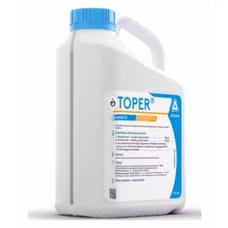 Toper Adama