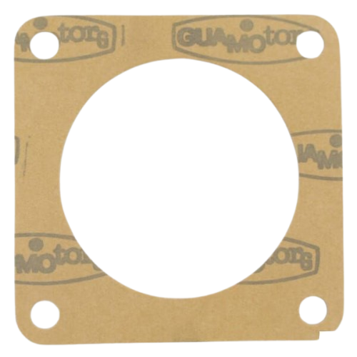 Uszczelka MM.1,5 Maschio Gaspardo M38100213R