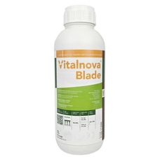 Vitalnova Blade 1L ICL12