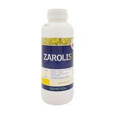 zar-ci-ech