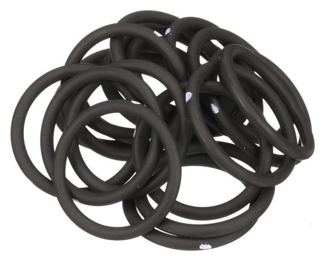 ORING CNH 86629585