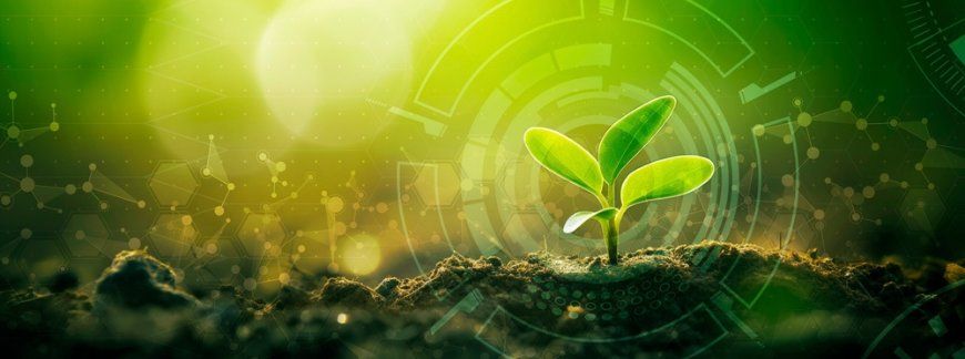 Młoda roślina na tle symboli biotechnologii – aminokwas co to i jakie ma znaczenie dla rolnictwa