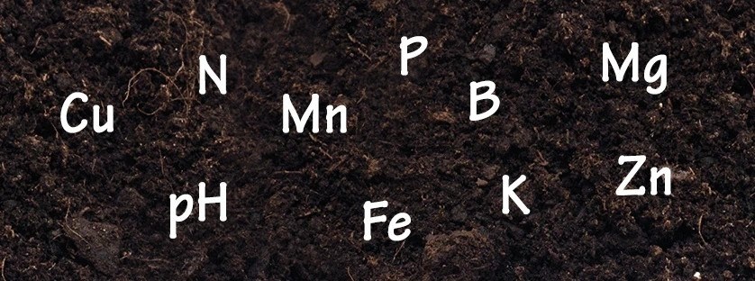 Analiza gleby – niezbędna przy dawkowaniu nawozów