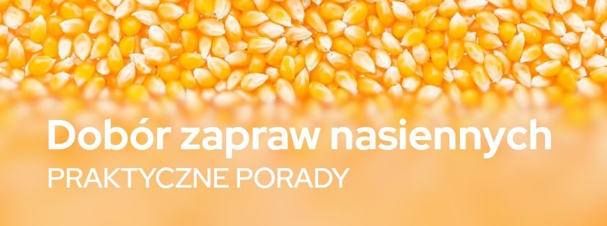 Dobór zapraw nasiennych – praktyczne porady | Blog Sklepfarmera.pl 