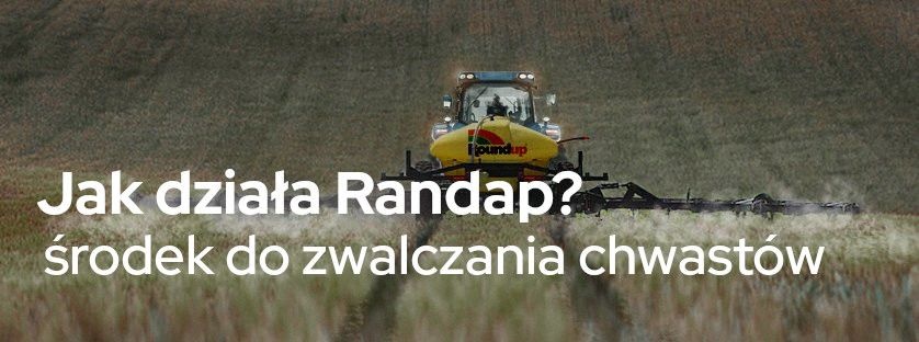 Jak działa Randap – środek do zwalczania chwastów? | Blog Sklepfarmera.pl
