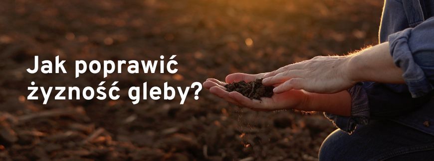 jak poprawić żyzność gleby