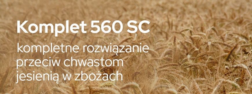 Komplet 560 SC na chwasty w zbożach jesienią | Blog Sklepfarmera.pl 