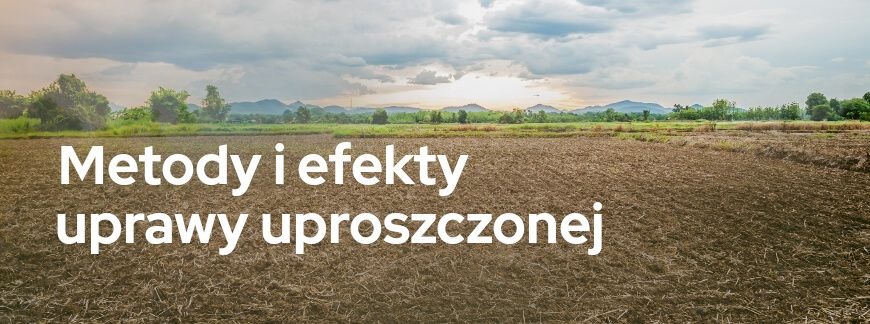 Metody i efekty uprawy uproszczonej | Blog Sklepfarmera.pl