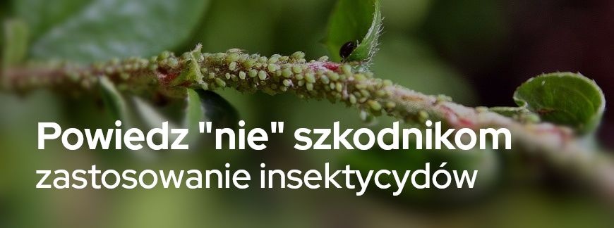 Powiedz „nie” szkodnikom! – Zastosowanie insektycydów | Blog Sklepfarmera.pl