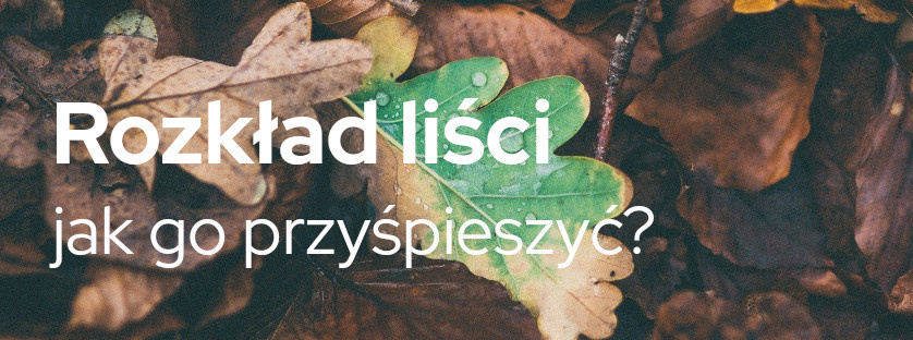 Rozkład liści - jak go przyśpieszyć? | Blog Sklepfarmera.pl