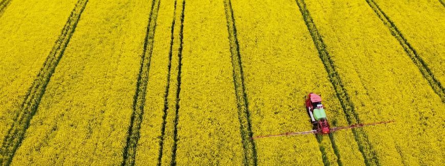 Pole kwitnącego rzepaku z opryskiwaczem widziane z góry