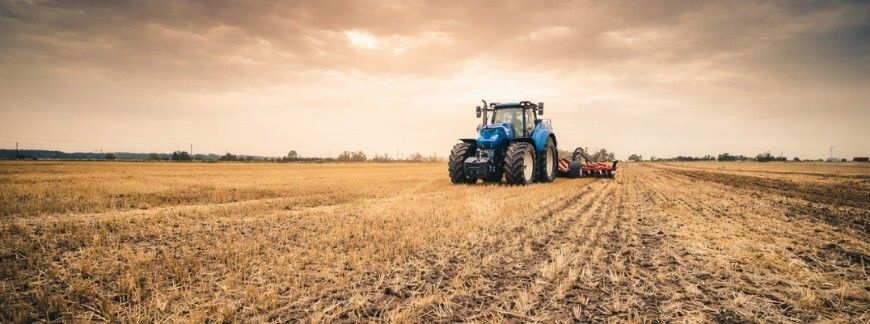 Siew bezpośredni w ściernisko w systemie no-till