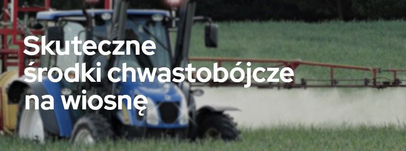 Skuteczne środki chwastobójcze na wiosnę | Blog Sklepfarmera.pl